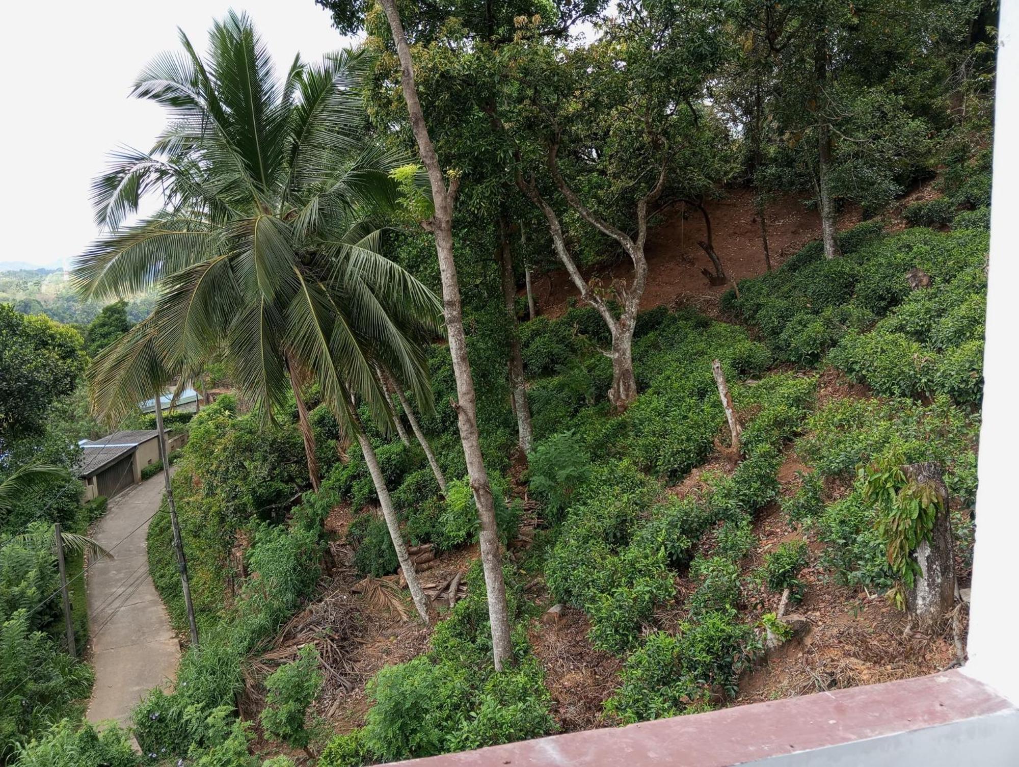 Mountain Bliss Villa Peradeniya Ruang foto