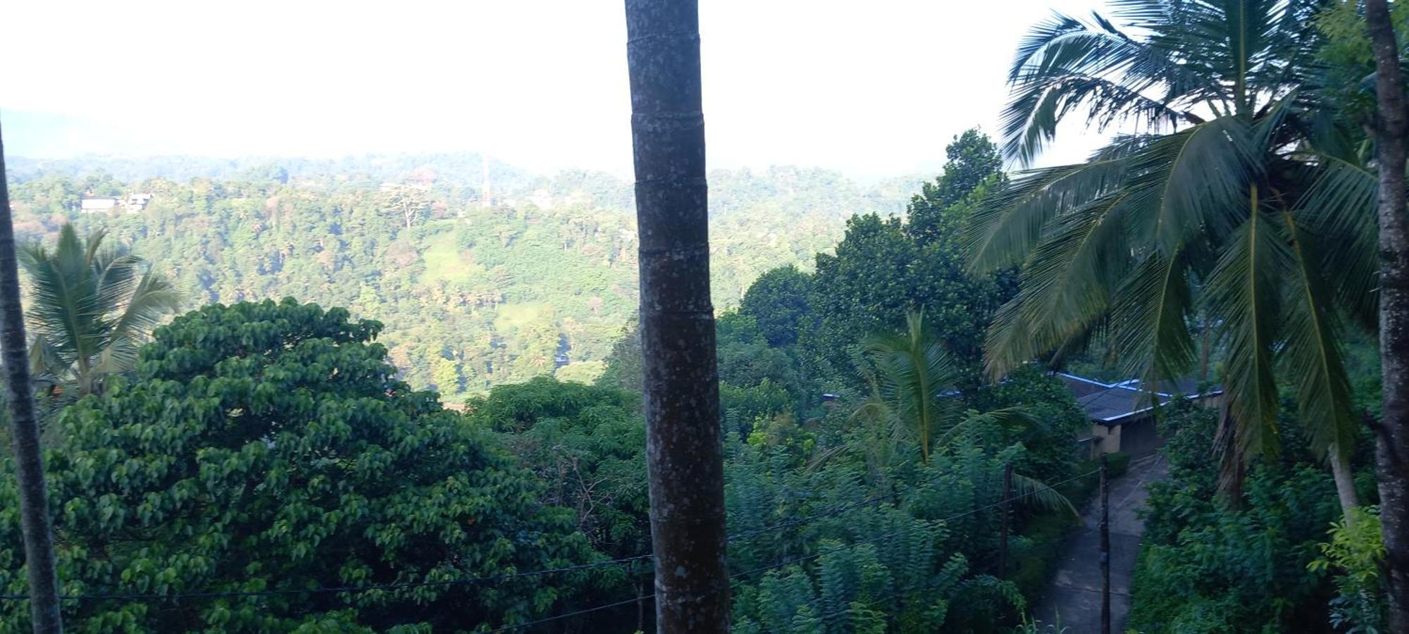 Mountain Bliss Villa Peradeniya Bagian luar foto
